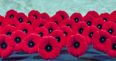 Irish bar incites controversy by refusing to serve customers wearing poppies