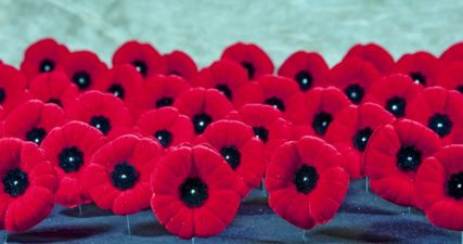 Irish bar incites controversy by refusing to serve customers wearing poppies