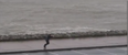 VIDEO: The weather was so bad yesterday that this Galway man forgot how to walk