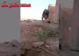 VIDEO: Iraqi soldier with balls of steel evades ISIS sniper by using his brain