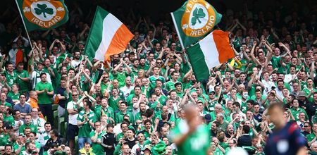 PIC: Irish Dad goes missing for a day, family spot him at the Ireland match in Bosnia on RTE News