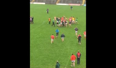 VIDEO: Players and subs from both sides involved in shemozzle during club GAA match in Meath