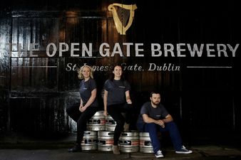 Guinness opens a brand new experimental brewery to the public in Dublin