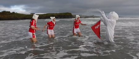 VIDEO: Watch these brave souls take the Polar Plunge for Special Olympics Ireland