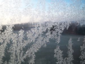 Temperatures to drop to freezing point as mist, fog and frost to arrive this week