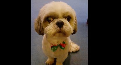 VIDEO: An Irish mammy’s NSFW reaction to being told the dogs ate the Christmas ham