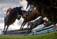 5 sure things for this year’s Leopardstown festival