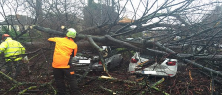 Feck off, Desmond: 10 of the most striking pictures and videos from today’s storm