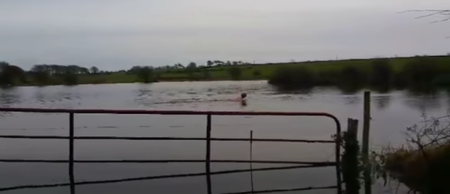 VIDEO: This is what ‘outdoor swimming pool’ means in Ireland
