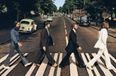 PIC: These lads recreated The Beatles’ famous Abbey Road photo GAA-style