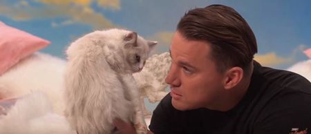 VIDEO: Channing Tatum verbally abused a kitten 8 times on Jimmy Kimmel