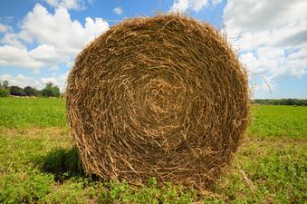 PIC: This supercar in Letterkenny transported a ridiculous amount of hay