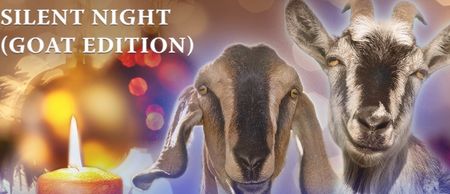 LISTEN: This Christmas album sung entirely by goats is actually a thing