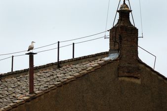 PIC: This chimney worker found a 60-year-old letter to Santa in an amazing discovery