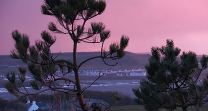You need to see these 7 amazing pictures of the Irish winter