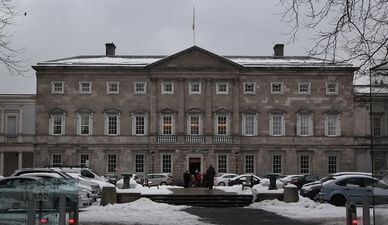 Lucinda Creighton says unnamed TD clogged Leinster house printer with order for 85,000 Christmas cards