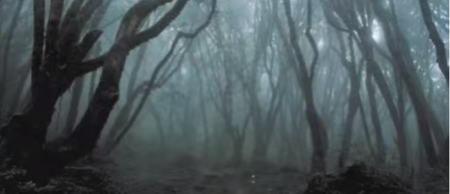 Dublin woman uses Facebook to describe a harrowing attempted sexual assault last night