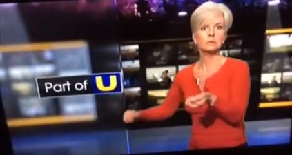 VIDEO: A UTV presenter was badly caught off guard live on air this evening