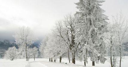 Up to 8 centimetres of snow and temperatures of -6 expected as winter hits Ireland in a big way