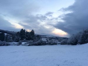 PICS: Check out the amount of snow that has fallen in Leitrim