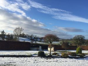 PICS: Cavan woke up to snow this morning and this woman caught some amazing pictures