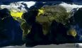 This mesmerising GIF shows every plane flight in the world over 24 hours