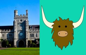 UCC Students Union Welfare Officer responds to anonymous accusations she’s been selling cocaine on campus