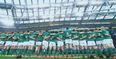 VIDEO: RTÉ’s Ireland vs Wales preview will give you chills