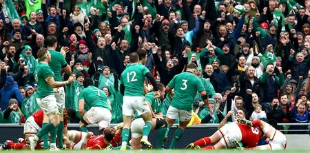 TWEETS: The best reaction to Ireland’s draw with Wales at the Aviva Stadium
