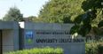 UCD Students’ Union hit out at UCD management in damning statement following revenge porn controversy