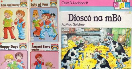 PICS: These 13 school books will terrify Irish people of a certain age