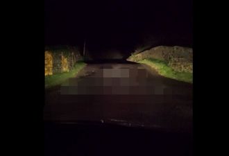 PIC: Potholes and painted penises on this road in Meath [NSFW]
