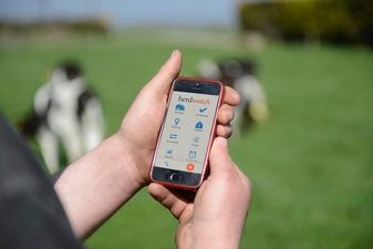 Take our farming survey to be in with a chance of winning an iPad and a 1 year subscription to Herdwatch