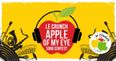 WIN: Here’s Your Chance To See The National Final of The Le Crunch Apple Of My Eye Song Contest In Whelan’s