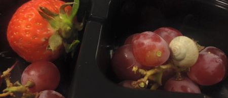 PIC: Fruit company give great response on Facebook after a snail is found in one of their fruit cups