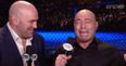 VIDEO: We’re sure every single one of you could have translated this moment for Joe Rogan