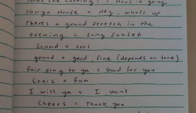 PICS: These American translations of Irish sayings should go out to all tourists