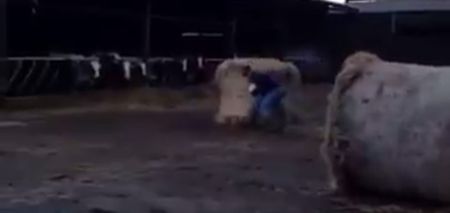 VIDEO: Laois man prepares for GAA season with the most unique training method ever