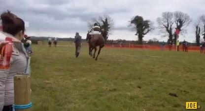 WATCH: Tipperary man running onto racecourse getting absolutely wiped out of it by a horse (NSFW)