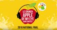 VIDEO: The super winner of the 2016 Le Crunch Apple of My Eye Song Contest has been revealed