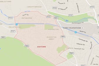 Gardaí investigate after two bodies are found by a canal in Dublin