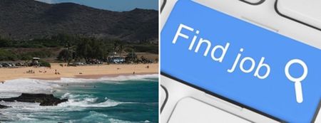 There are 1,600 jobs available in paradise so don’t delay