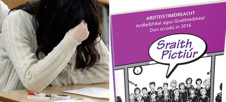 The hilarious panic from the Irish orals is perfectly summed up in these great tweets