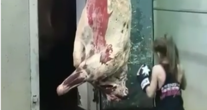 VIDEO: This 9-year-old Irish Thai boxer named Jodie is guaranteed for stardom