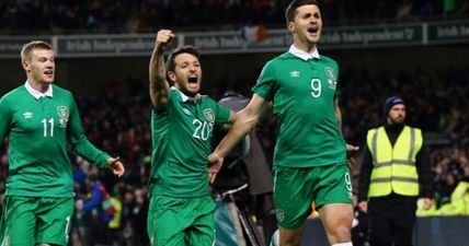 PIC: This risqué Shane Long Irish flag is so good it deserves to go to the Euros