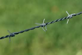 PICS: Somebody set up a disgusting and dangerous barbed wire trap on a cycling trail in Wicklow