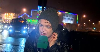 PIC: This Galway native’s Teresa Mannion-themed Irish flag will stand out at Euro 2016