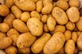 Met Éireann have issued a potato blight warning for the entire country