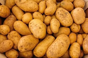 Met Éireann have issued a potato blight warning for the entire country