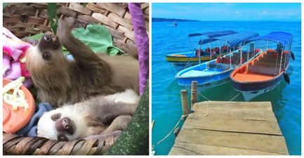 JOE Backpacking Diary #9 – Meeting baby sloths, a visit to A&E and finding Panama’s paradise beaches